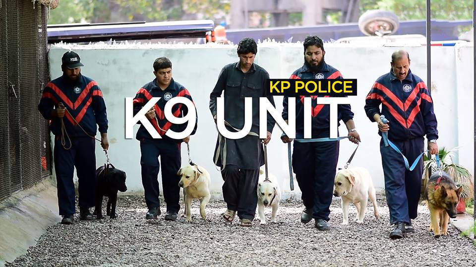 K9 unit trained to sniff out explosives as well as drugs