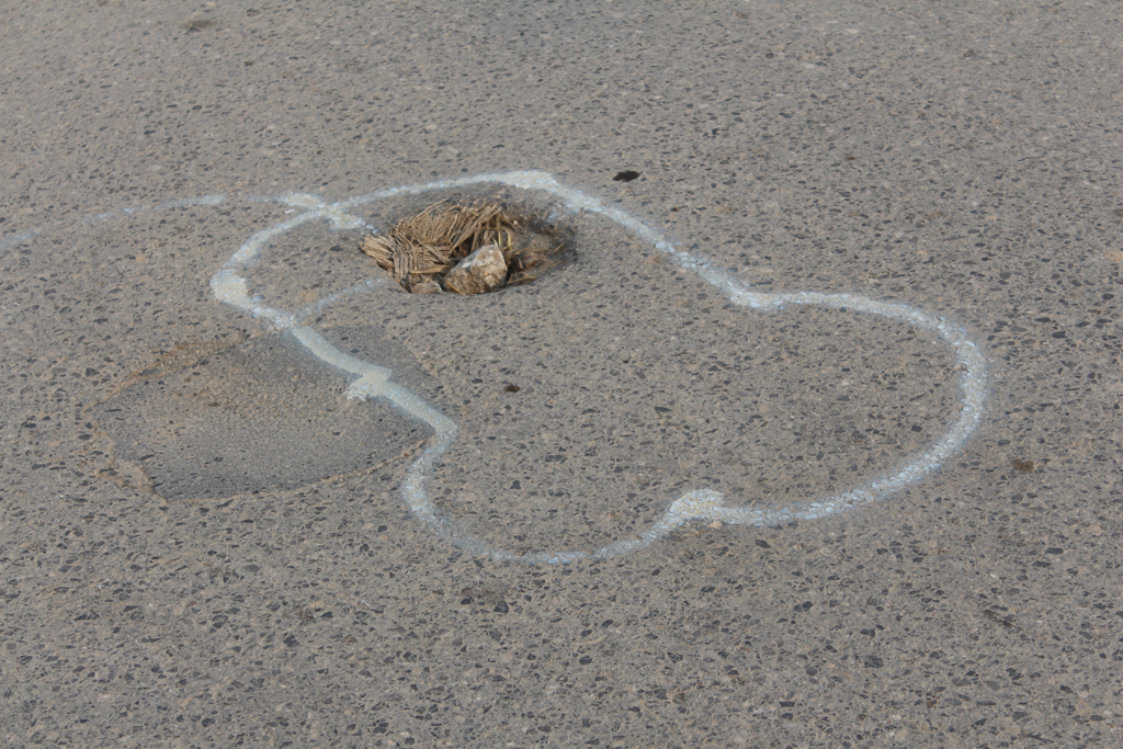 Mystery artist in Islamabad draws penises around potholes so the city will fix them