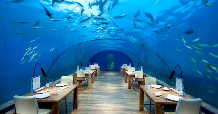 These Underwater Restaurants Prove Everything's Better Down Where It's Wetter Under The Sea