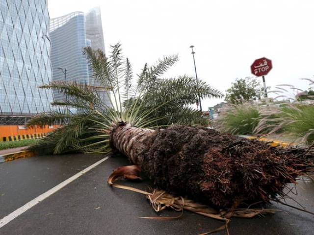Heavy rain kills six in Oman, UAE